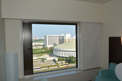 DSC_3223000000098.jpg